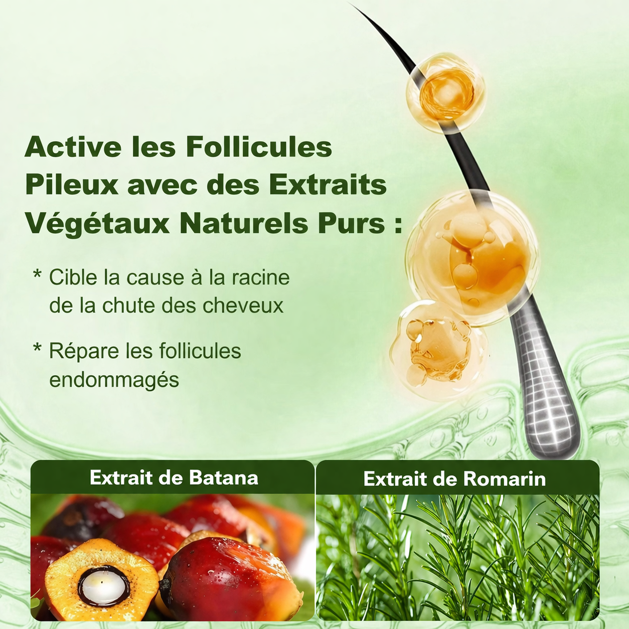 Shampooing Volumisateur Alisanda® à l’huile de Batana et romarin (Lot de 1)