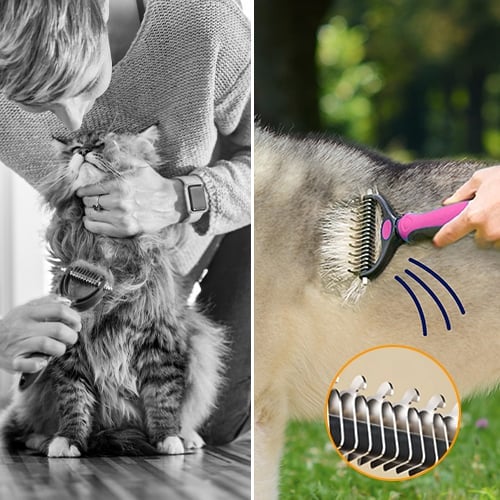 7 Gründe, warum Tierbesitzer auf das Pet Pro Pflegegerät umsteigen